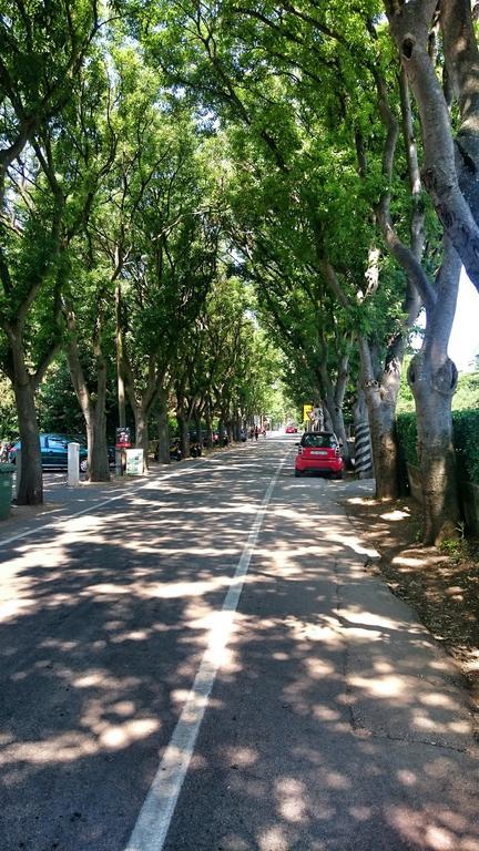 Apartment Borik Beach 86 Ζαντάρ Δωμάτιο φωτογραφία